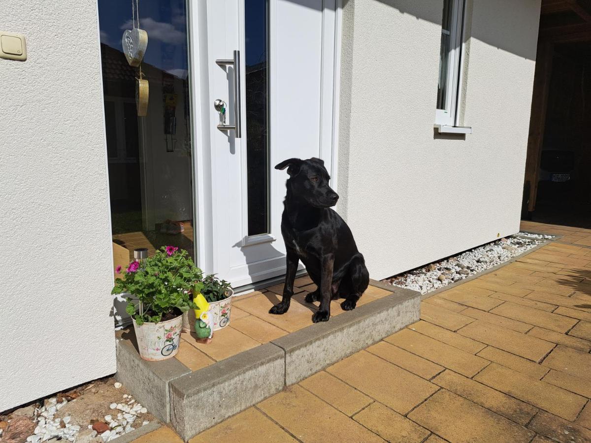 Ferienwohnung Am Nordstrand Alt Schwerin Ngoại thất bức ảnh